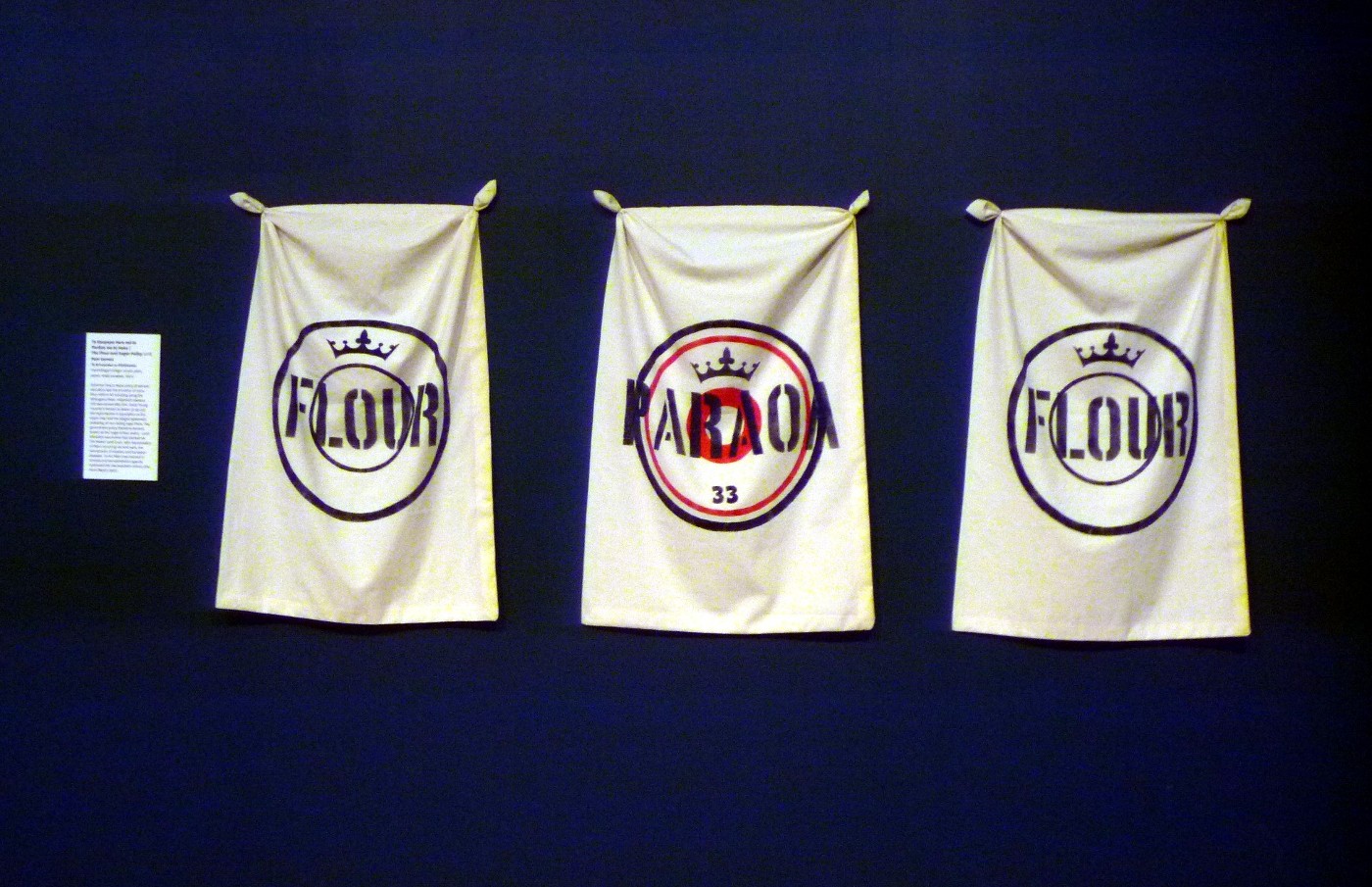 2018 exhibition toioho ki apiti Ekoruhe 20.13 pam vernon artist