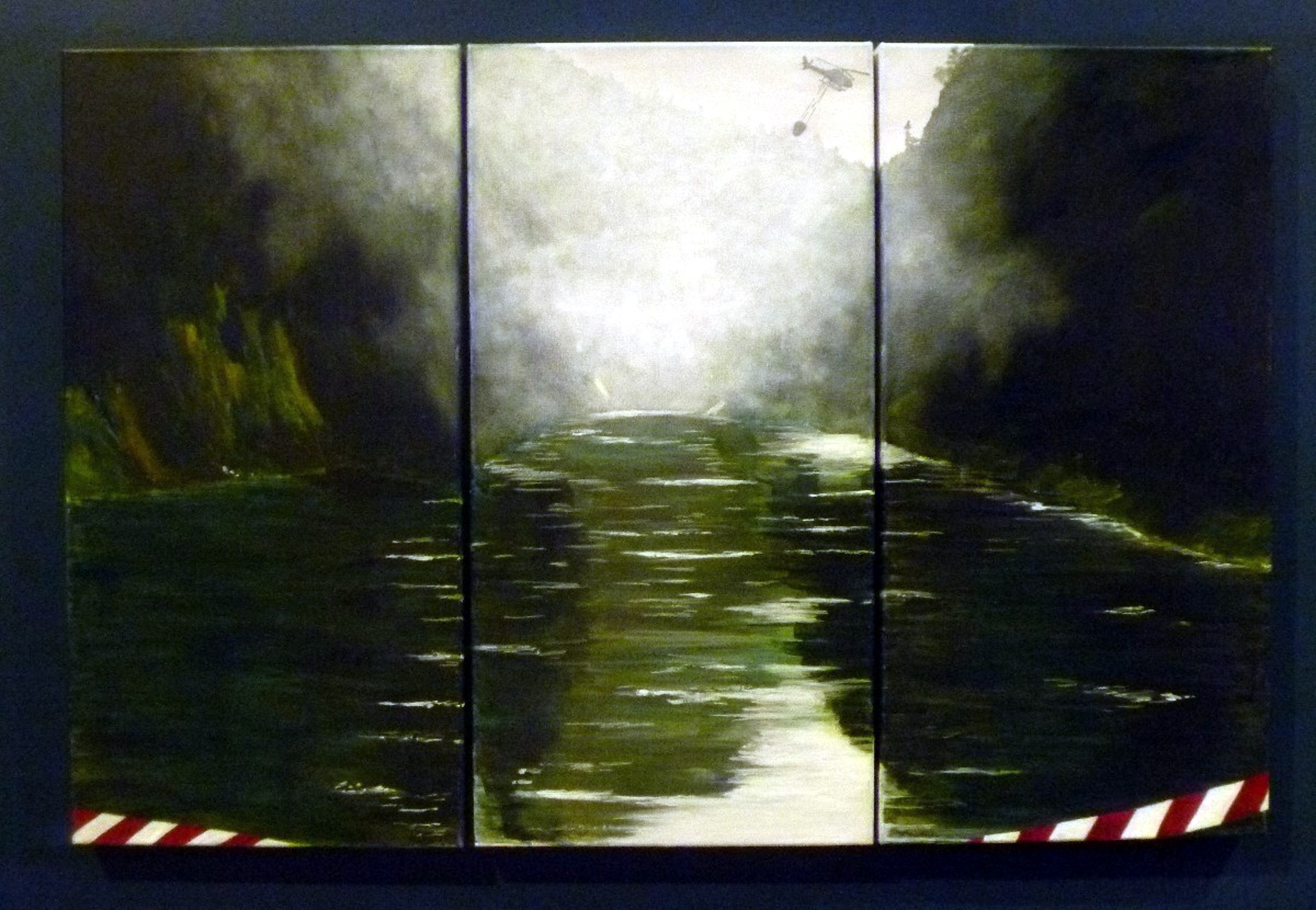 1080 poison drop on whanganui river nz pam vernon artist justartnz