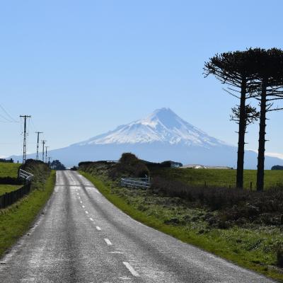 Taranaki Maunga Mt Egmont Pam Vernon Artist NZ